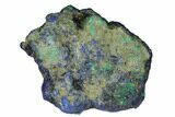 Vivid Blue, Cut/Polished Azurite & Malachite Nodule - Siberia #175545-1